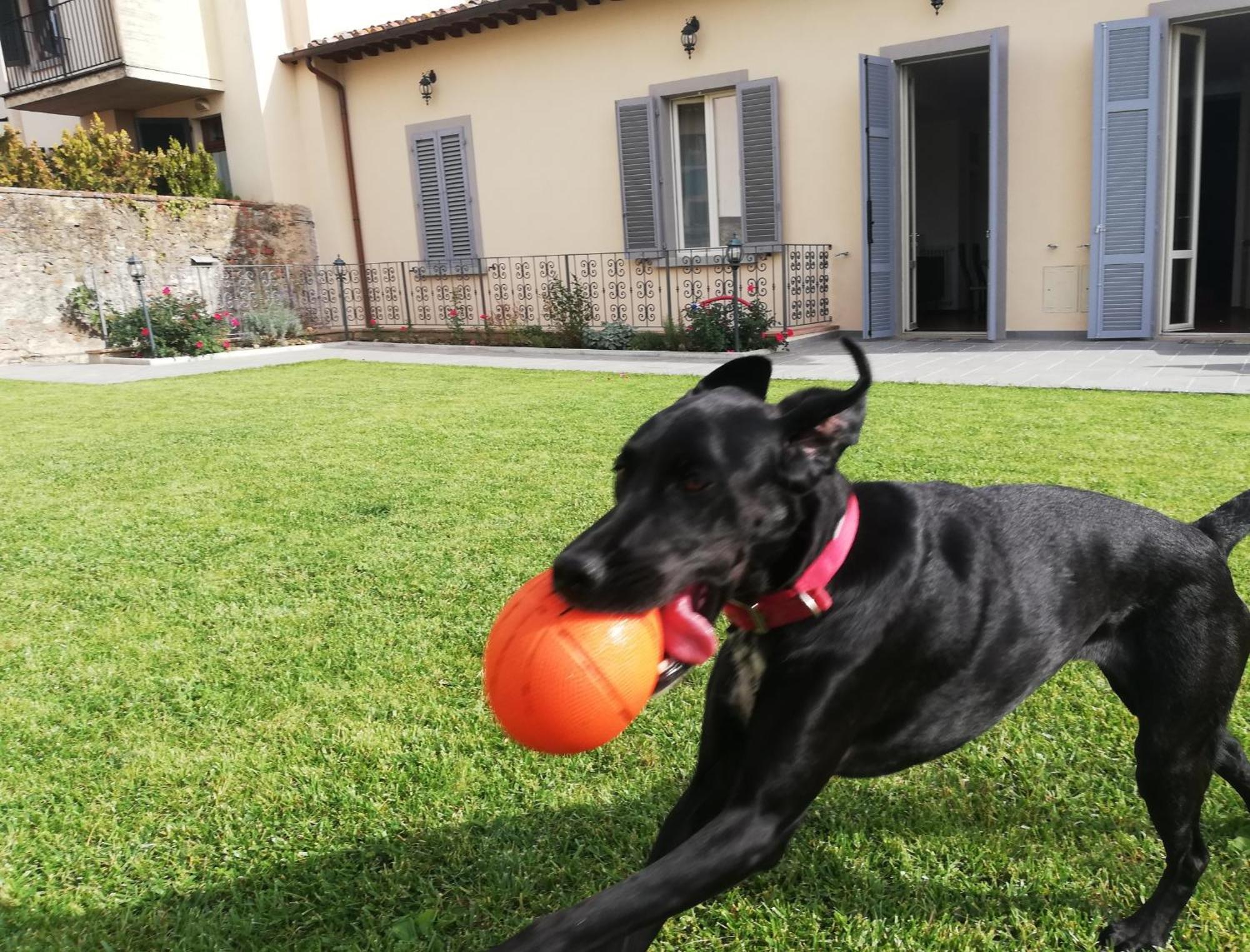 Apartament Casa Di Pietro Aretino, Arezzo Centro Storico 4-8 Letti Zewnętrze zdjęcie